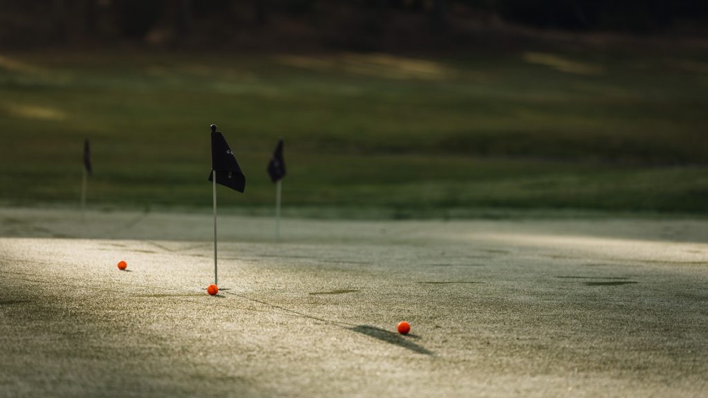 GolfStar Företag