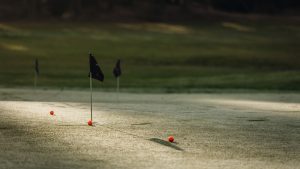 GolfStar Företag