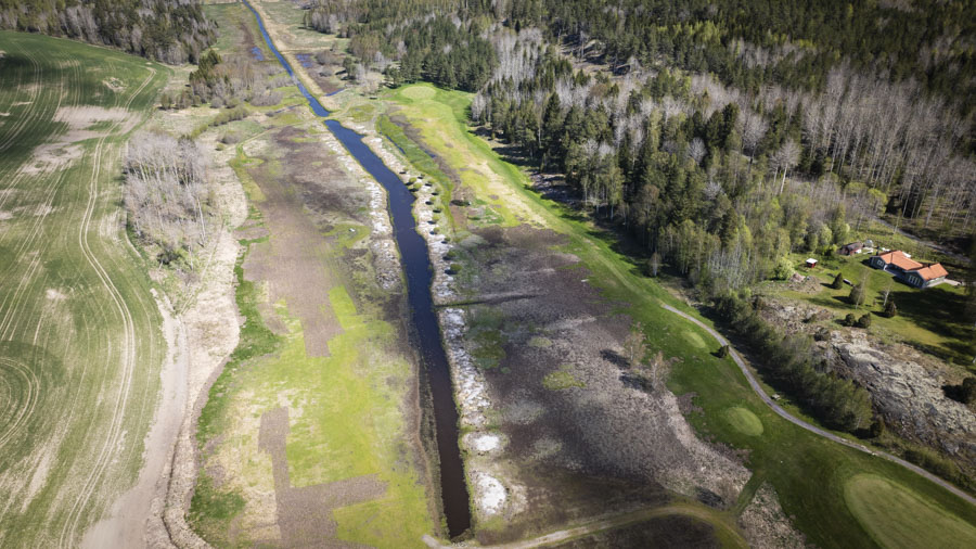 Fairways på hål 6 och hål 7 på GolfStar Lövsättra är totalförstörda efter vårens vildsvinsattacker. Nu påbörjas en ombyggnation av Lövsättra.